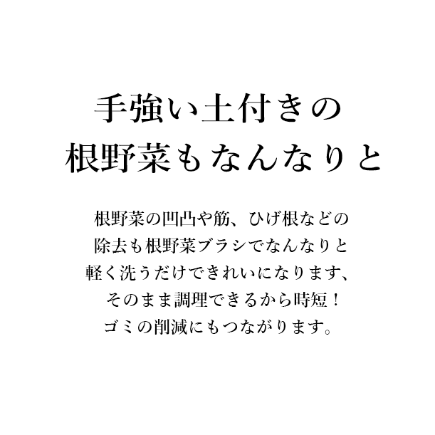 手強い土付きの根野菜もなんなりと